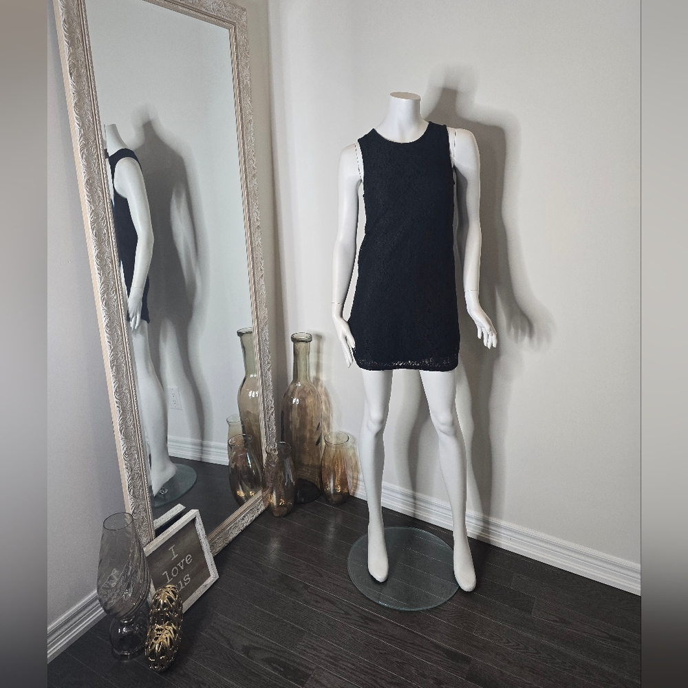 Monteau Lace Mini Dress